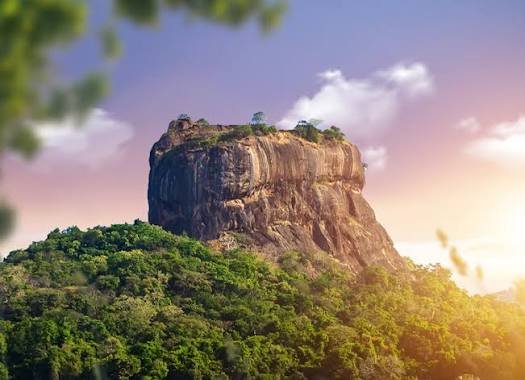 Export to Sri Lanka